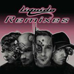 Liquido - Gameboy Remixes - 2008
